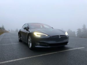 Tesla Bild