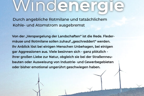 Ausgebremste Windenergie