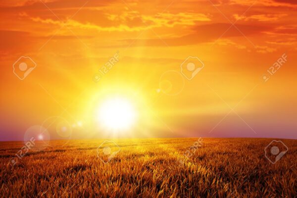 F-Gase: UBA-Studie verbessert Verständnis über Emissionen extrem klimaschädlicher Gase in Deutschland