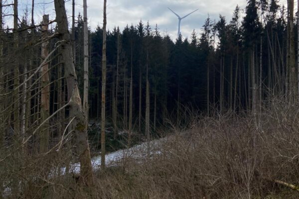 Die Klimagaffer Die Klimagaffer