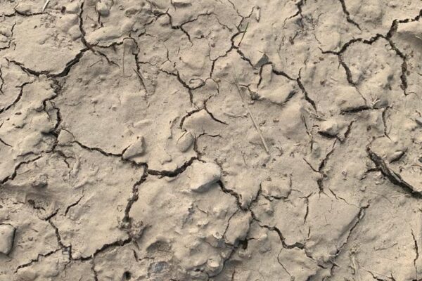 Ambitioniertes Klimaschutzprogramm als Konjunkturbooster nutzen