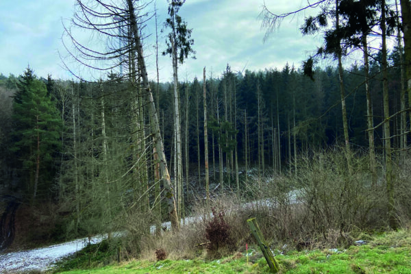 Perspektiven für 2050 Perspektiven für 2050